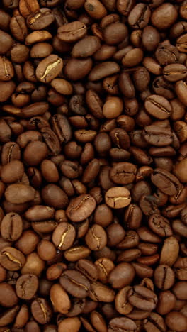 Close-up-of-coffee-beans