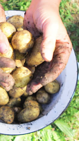 Primer-Plano,-De,-Mujer,-Manos,-Lavar-Patatas,-En,-Jardín