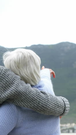 Happy-senior-couple-pointing-at-view