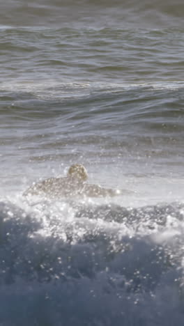 Surfistas-Surfeando-En-El-Mar