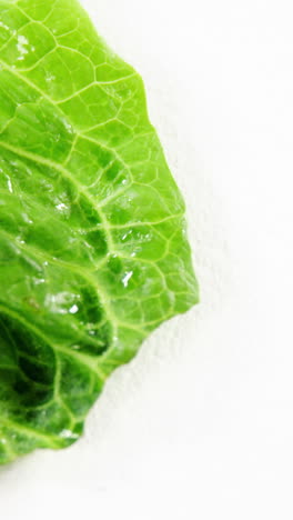 Close-up-of-lettuce