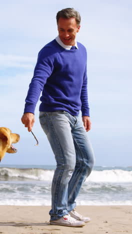 Hombre-Maduro-Feliz-Jugando-Con-El-Perro-En-La-Playa