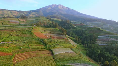 Drone-fly-over-slope-of-Mount-Sumbing-with-view-of-plantation,-Indonesia