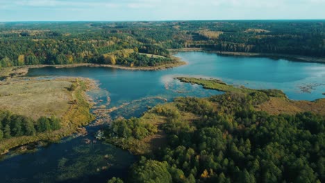 Lebendiges-Herbstlaub-Und-Ruhige-See-Luftaufnahme---Drohnenaufnahmen-Aus-Europa