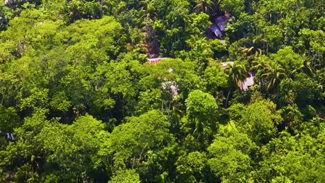 Tropical-Forest-And-Remote-Indigenous-Village-Houses---Aerial-Drone-Shot