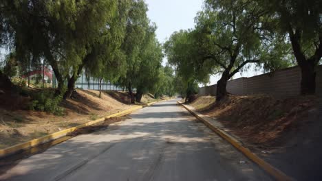 Camino-Con-árboles-Frente-A-La-Carretera.