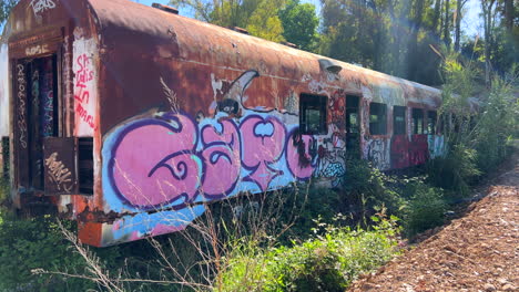 Vagones-De-Tren-Abandonados-Con-Graffiti-En-Un-Parque-Forestal-En-San-Pedro-De-Alcantara-Marbella-España,-Viejos-Vagones-De-Tren,-Toma-De-4k