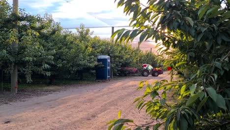 Pequeño-Tractor-Agrícola-Rocía-Pesticidas-En-Cerezos,-Concepto-De-Contaminación