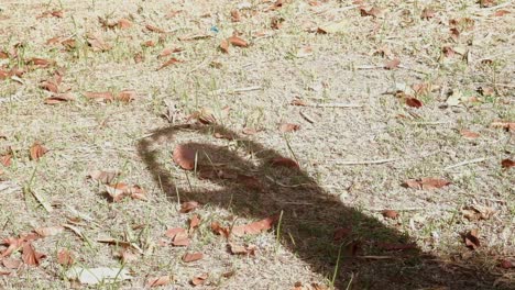 Cute-static-shot-of-young-woman-playing-and-dancing-with-her-shadow-reflected-on-a-grassy-field