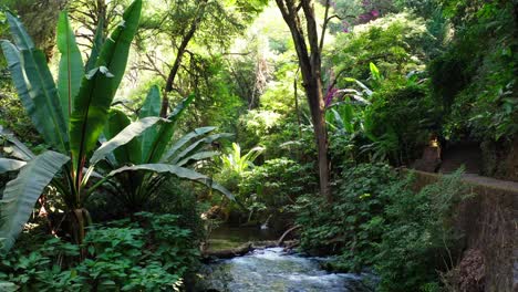 Drohnen-Dolly-Des-Uruapan-Nationalparks,-Fluss-Cupatitzio