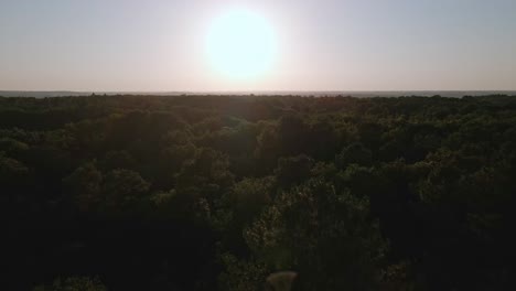 Bosque-Bretón-De-Brocéliande-Y-Paisaje-Circundante,-Francia