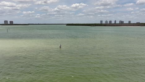 Hombre-Compensando-En-Estero-Bay,-Florida