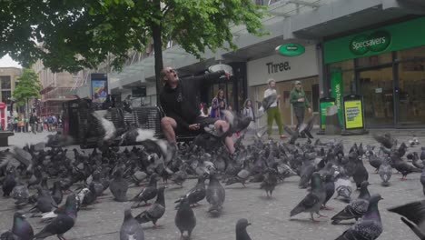 Cámara-Lenta,-Cinematográfica,-Personaje-Masculino,-Alimentación-De-Bandadas-De-Palomas,-Centro-De-La-Ciudad