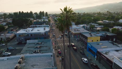 Aerial-Drone-Footage-Over-West-Hollywood-Melrose-District-in-Late-Afternoon,-Skyline-and-Mountains-on-Horizon,-Palm-Trees-Towering-Above-Iconic-Neighborhood