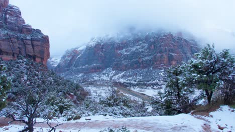 Un-Sendero-Cubierto-De-Nieve-Entre-Los-árboles-En-El-Parque-Nacional-Zion