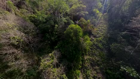 A-view-of-a-tram-ride-gliding-through-the-Costa-Rican-Rain-forest