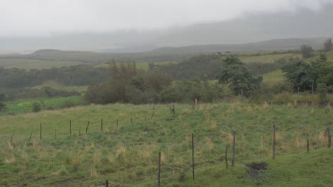 Suave-Panorámica-Del-Prado-Bajo-La-Lluvia