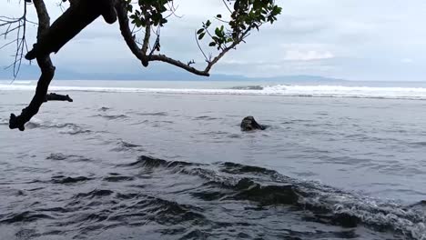 Tapalang-Beach-scenery-in-Mamuju,-West-Sulawesi_slow-motion