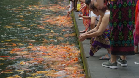 Visitors-feed-colorful-koi-fish-at-the-sacred-pond-of-Pura-Gunung-Kawi-Sebatu-Temple-in-Bali,-Indonesia