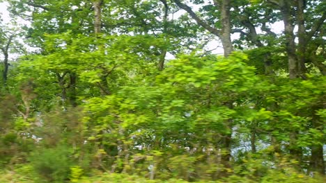 View-of-the-scenic-River-Dart-through-the-trees-with-boats-from-the-popular-Dartmouth-Steam-Railway-train-from-Paignton-to-Kingswear-in-Devon,-England-UK