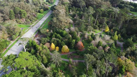 San-Francisco-USA,-Aerial-View-of-Golden-Gate-Park-in-Winter-Season,-Drone-Shot