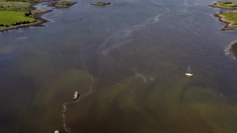 Large-seaweed-bloom-in-Kivara-Bay