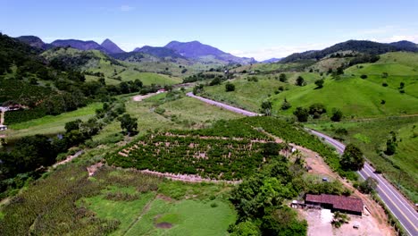 Finca-De-Café-Rural-En-El-Campo-Montañoso-De-Brasil,-Aéreo