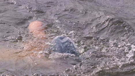 Indian-man-swimmer-swimming-in-river-open-water-with-swimming-cap-and-goggles-close-up