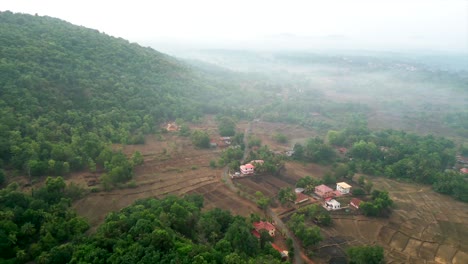 Vista-De-Pájaro-Del-Bosque-Verde-En-Konkan