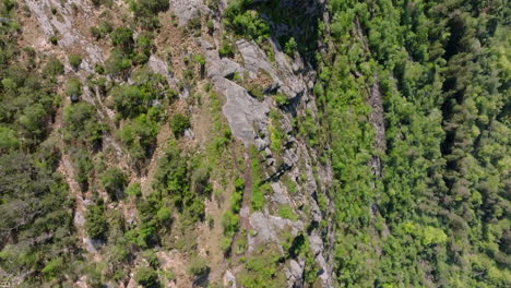 Drone-shot-looking-down-onto-the-summit-of-Stoltzekleiven-and-Sandviksfjellet-showing-the-steep-cliff-and-the-forest-beneath