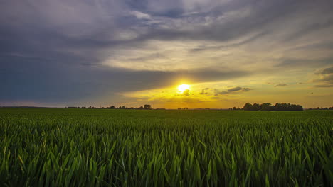 Sun-setting-down-over-agriculture-field-with-stormy-clouds-flowing,-time-lapse-view