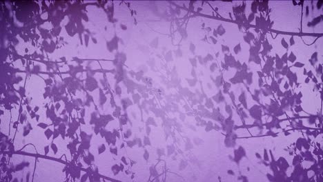 Silhouetted-Foliage-Against-a-Purple-Background