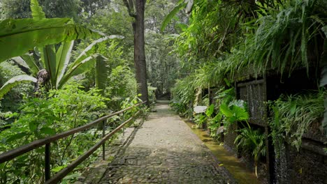 SLOW-MOTION-URUAPAN-NATIONAL-PARK-ALLEY-AND-FOUNTAIN-AT-MID-DAY