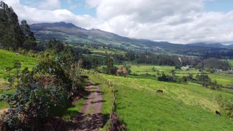 Aerial-Drone-Flyover-Push-Along-Dairy-Farm-Road-Passing-Cows-On-Foothills-of-the-Pasochoa-volcano,-Puichig-neighborhood,-showing-the-Machachi-valley,-Cantón-Mejía,-Pichincha-Province,-Ecuador