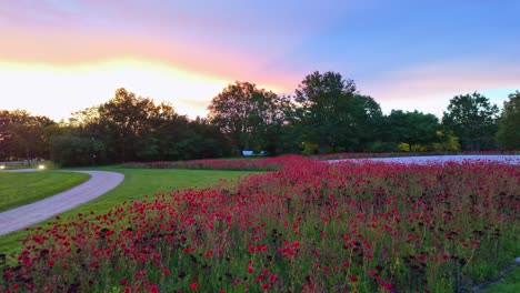 Landscape-at-sunset-and-red-flowers-in-park-of-Robert-Tatin-Museum,-Cossé-le-Vivien-in-Mayenne-department,-France