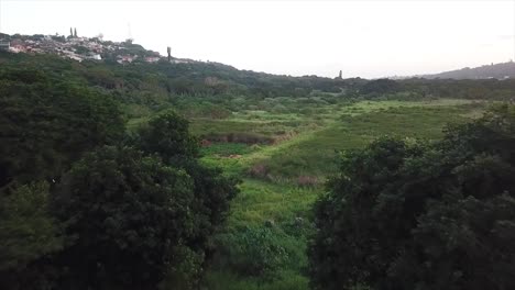 Drone-moving-backwards-over-a-bushy-grassy-patch-onto-an-open-sports-rugby-field-with-a-visible-white-score-board-at-harlequins-Bluff-Durban