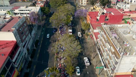 Bird's-eye-view-of-a-pilgrimage-along-the-Guadalupe-road-to-the-Guadalupe-Basilica-on-a-sunny-day-in-Mexico-City