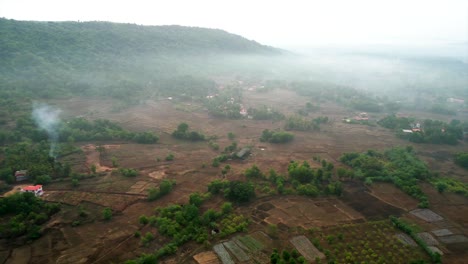 forest-drone-shot-from-left-to-right