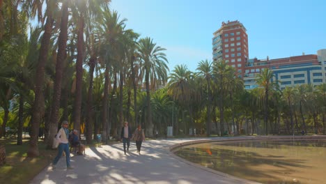 People-enjoying-sunny-day-in-city-park-with-palm-trees-and-pond