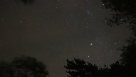 Timelapse-of-Night-Sky-Stars-with-Trees,-Pyrenees-Spain