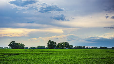 Timelapse-Hermoso-Paisaje-Rural-Con-Un-Campo-Verde-Al-Atardecer