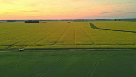 Aerial-lateral-shot-of-rural-farm-fields-with-yellow-flowers-at-sunset