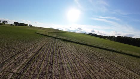 landscape-drone-fpv-mountains-and-sunset,-over-cornfield