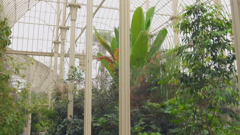 Tilt-shot-of-the-structure-of-the-National-Botanic-Garden-of-Ireland,-Glasnevin,-Dublin