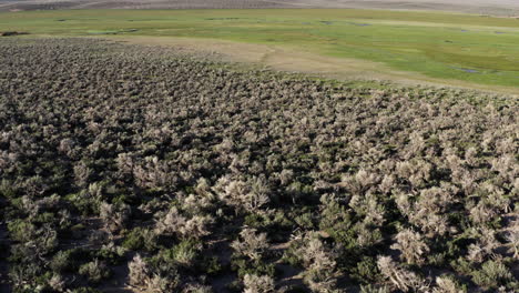 Serie-De-Colinas-De-Alabama-Cerca-De-La-Vertiente-Oriental-De-Sierra-Nevada-En-Owens-Valley,-California