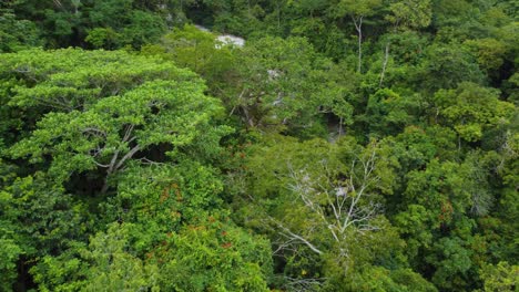 Aerial-view-of-forest-and-hidden-mountain-stream-with-waterfalls,-untouched-nature