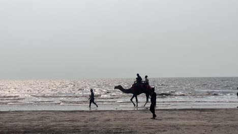 Touristen-Machen-Eine-Safari-Am-Strand