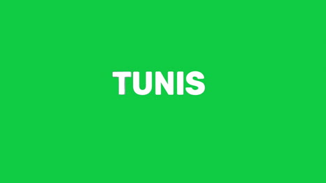 A-smooth-and-high-quality,-silver-3D-text-reveal-of-the-capital-city-"TUNIS