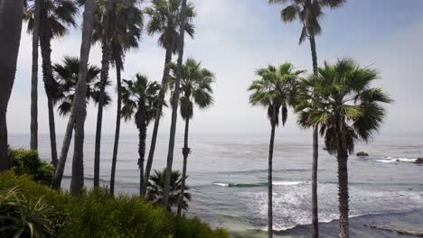 Hermosa-Playa-De-La-Costa-De-California-Con-Palmeras---4k-Calificada