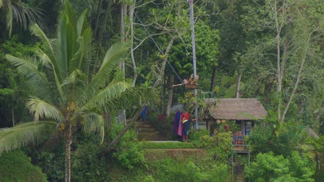 Vista-Pintoresca-De-Las-Exuberantes-Terrazas-De-Arroz-De-Tegallalang,-Bali,-Indonesia